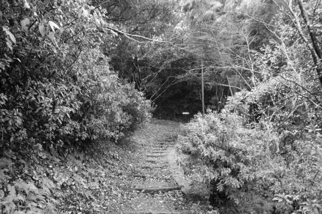 f:id:ksagi:20211128174703j:plain