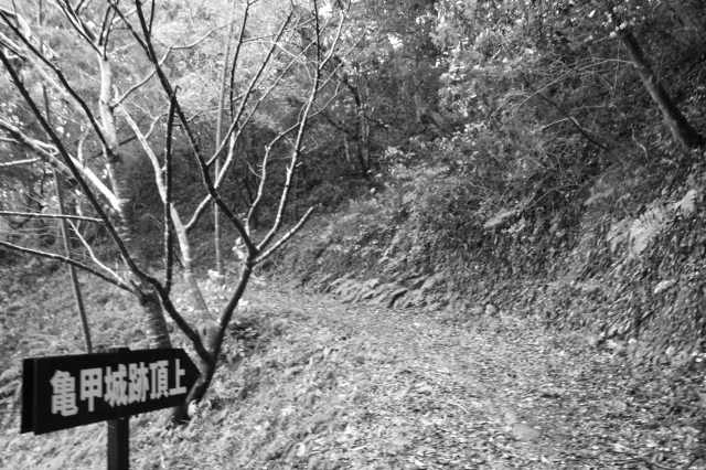 f:id:ksagi:20211128174733j:plain