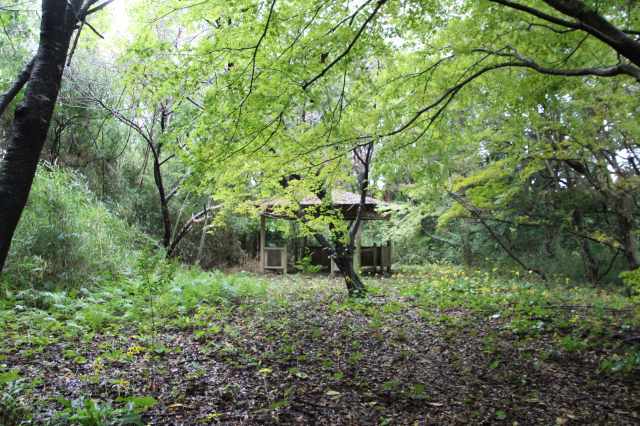 f:id:ksagi:20211128174802j:plain