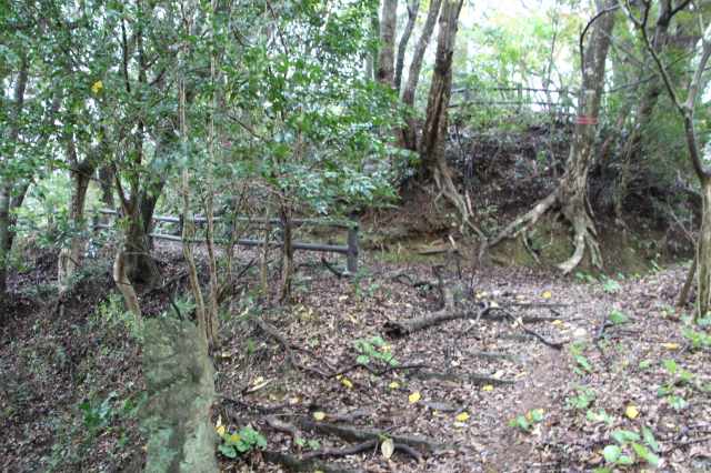 f:id:ksagi:20211128174857j:plain