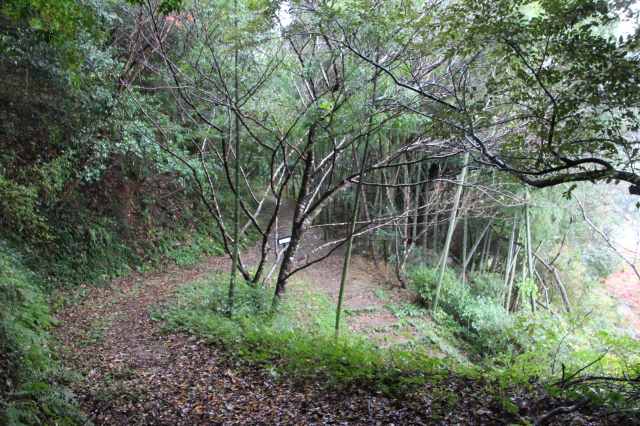 f:id:ksagi:20211128175005j:plain