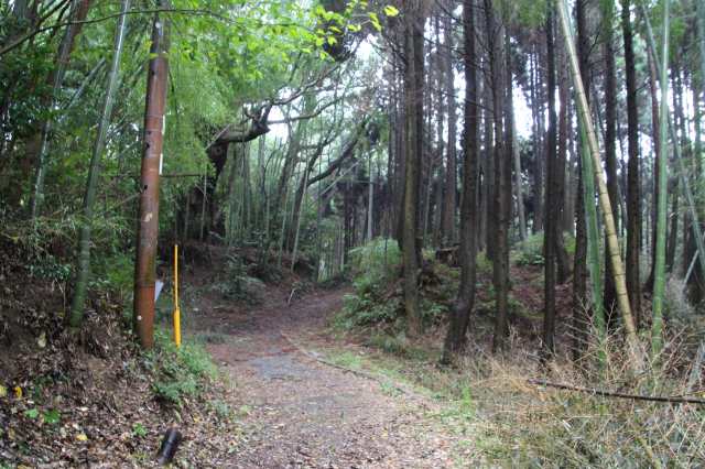 f:id:ksagi:20211128175025j:plain