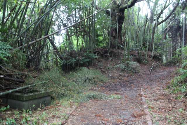 f:id:ksagi:20211128175045j:plain