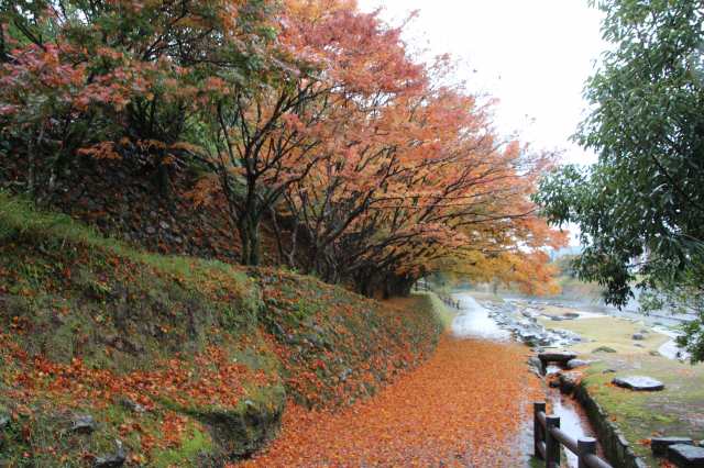 f:id:ksagi:20211128175111j:plain