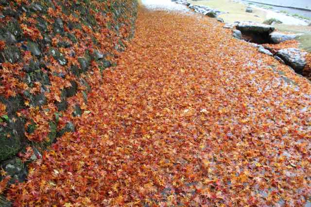 f:id:ksagi:20211128175119j:plain