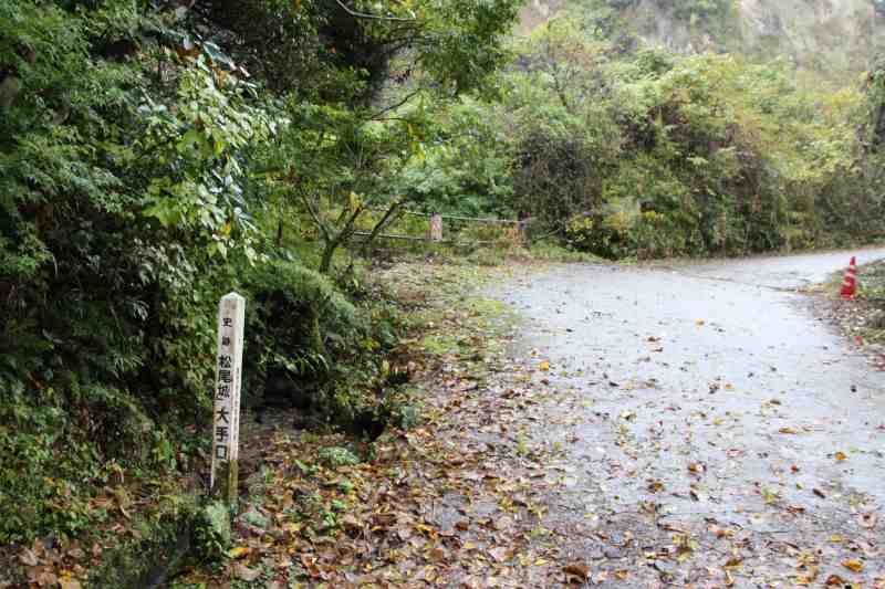 f:id:ksagi:20211128180235j:plain