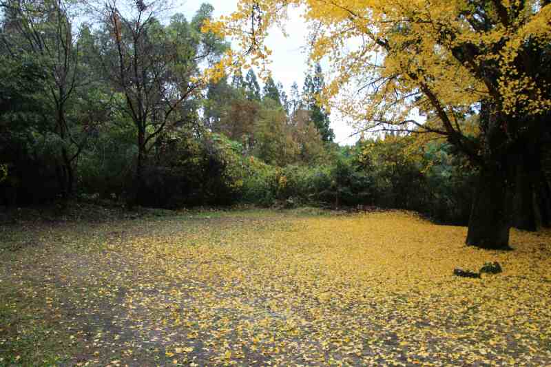 f:id:ksagi:20211128180328j:plain