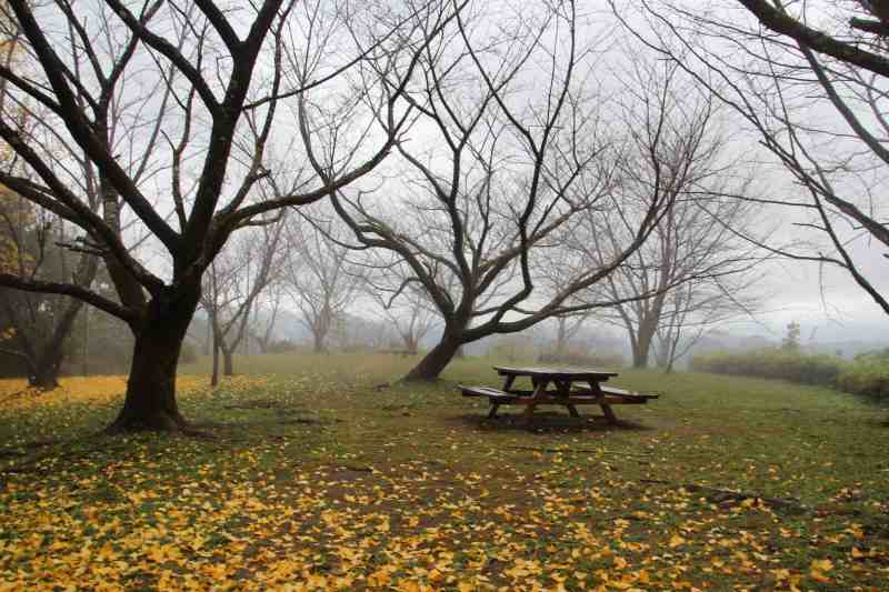 f:id:ksagi:20211128182107j:plain