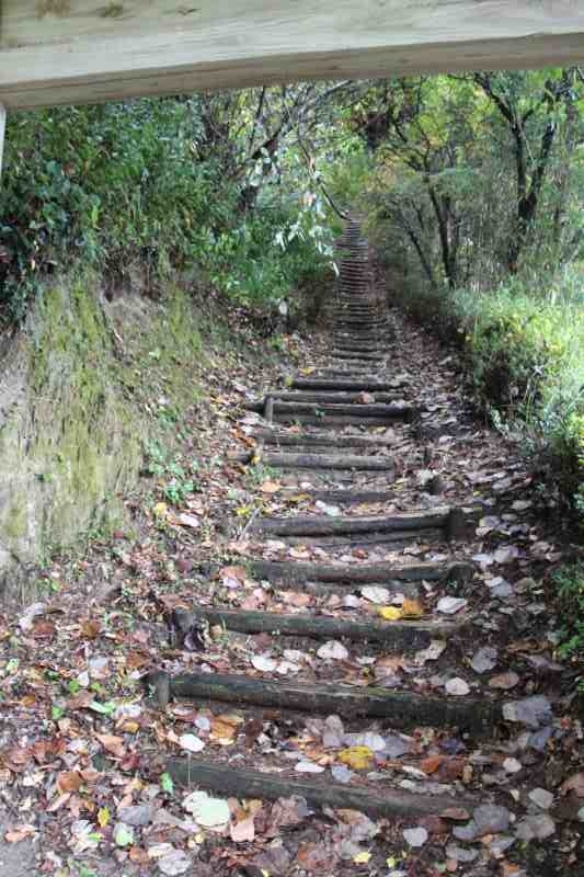 f:id:ksagi:20211128182158j:plain