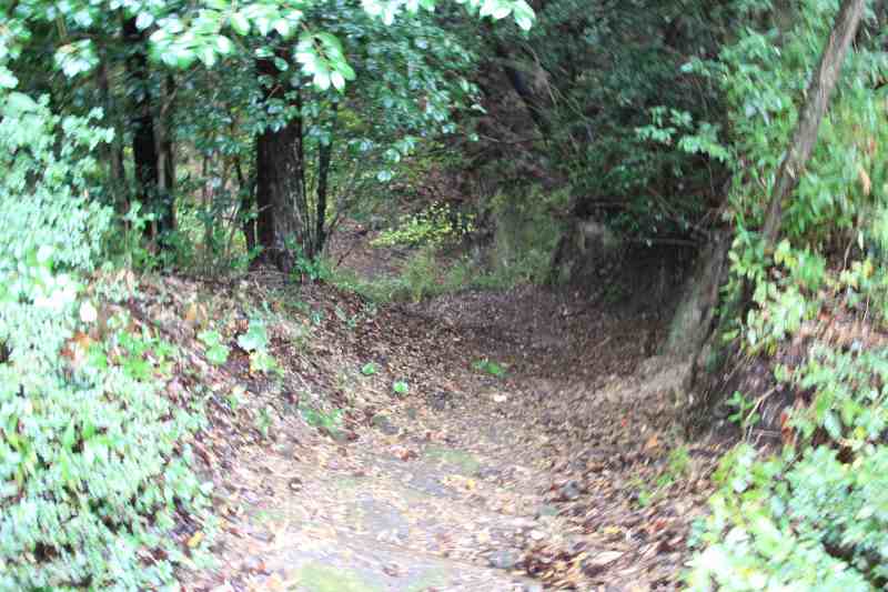 f:id:ksagi:20211128182416j:plain