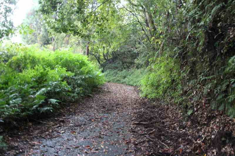 f:id:ksagi:20211128182446j:plain