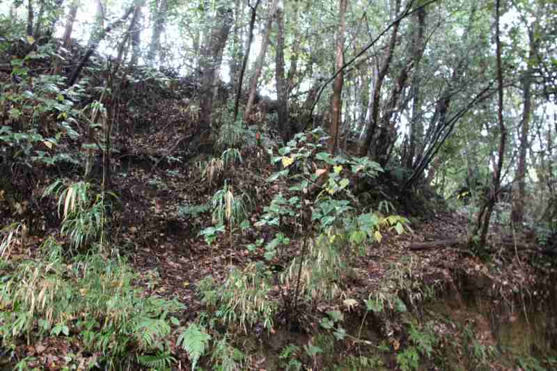 f:id:ksagi:20211128182516j:plain