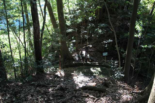 f:id:ksagi:20211128193354j:plain