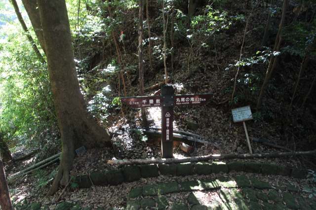 f:id:ksagi:20211128193406j:plain