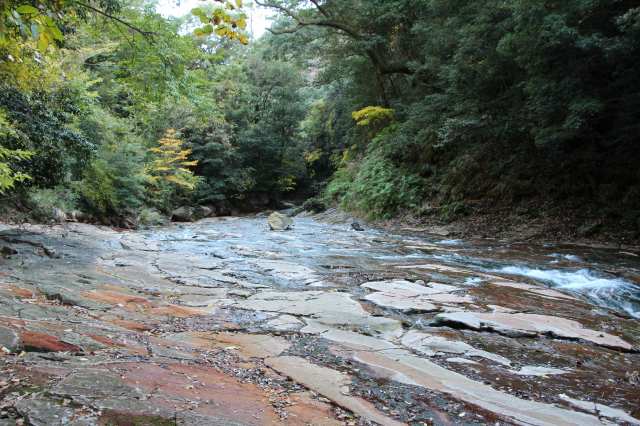 f:id:ksagi:20211128193502j:plain