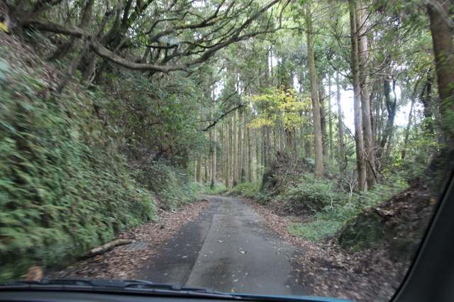 f:id:ksagi:20211128194145j:plain