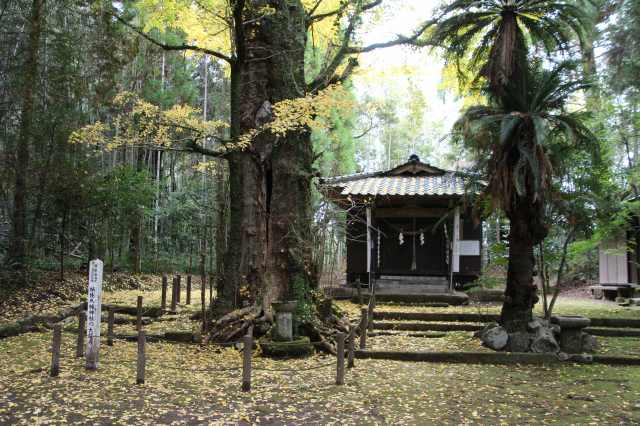 f:id:ksagi:20211128194406j:plain