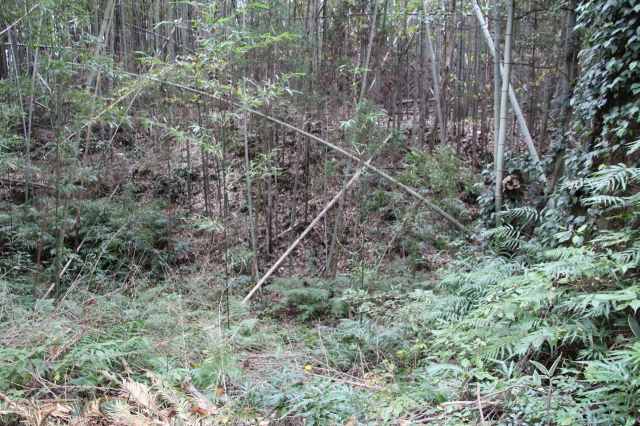 f:id:ksagi:20211128194444j:plain