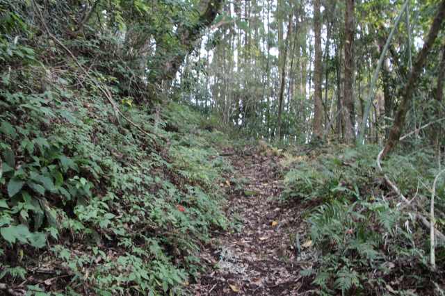 f:id:ksagi:20211128194637j:plain