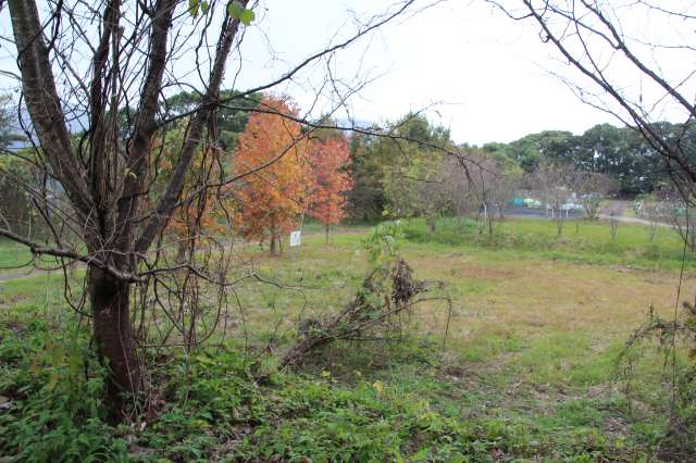 f:id:ksagi:20211128195245j:plain