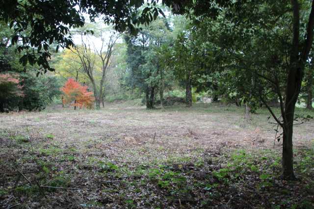 f:id:ksagi:20211128195354j:plain