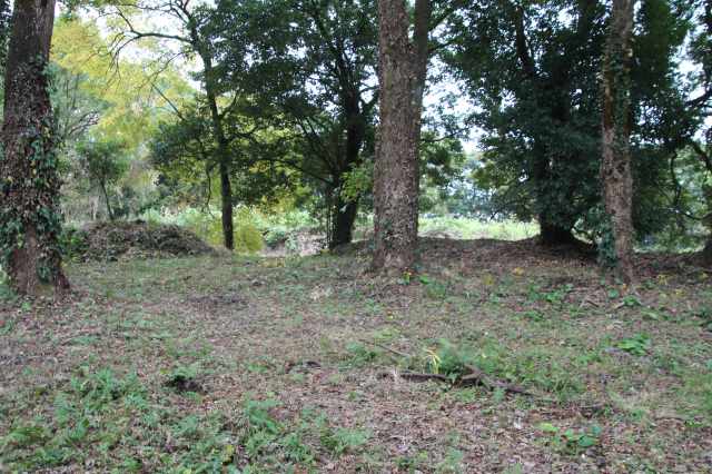 f:id:ksagi:20211128195439j:plain