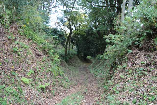 f:id:ksagi:20211128195511j:plain