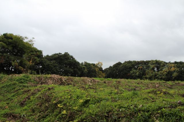 f:id:ksagi:20211128195823j:plain