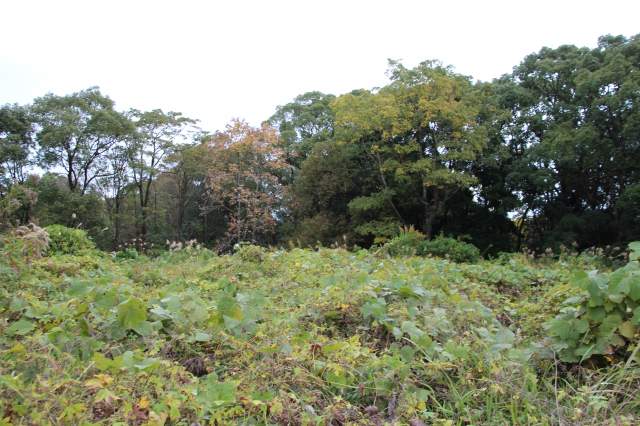 f:id:ksagi:20211128195842j:plain