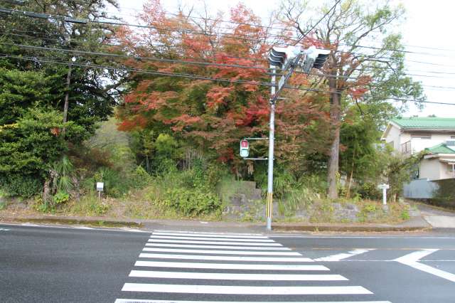 f:id:ksagi:20211128201250j:plain