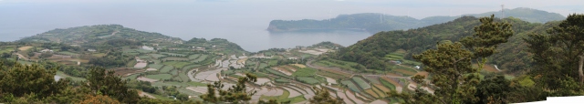 f:id:ksagi:20220101223804j:plain