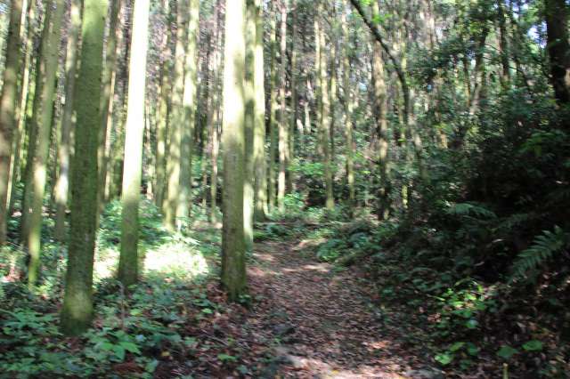 f:id:ksagi:20220102110536j:plain