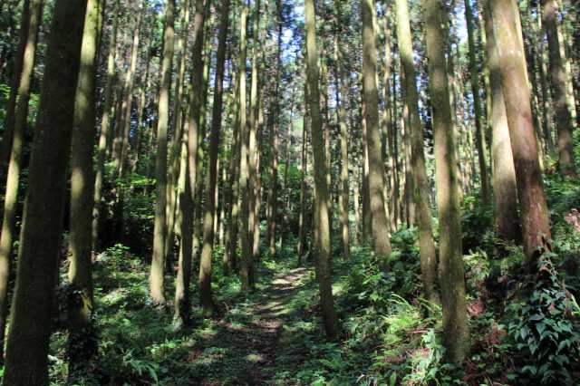 f:id:ksagi:20220102110657j:plain