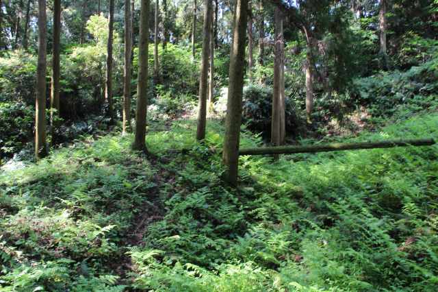 f:id:ksagi:20220102110713j:plain