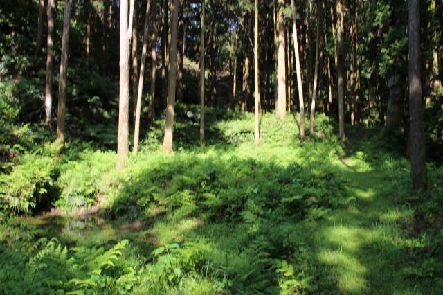 f:id:ksagi:20220102110723j:plain