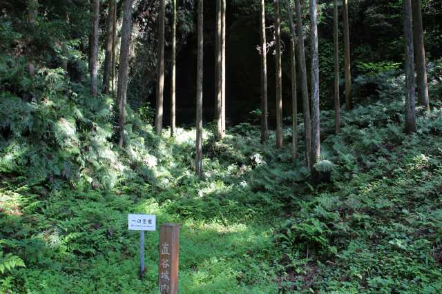 f:id:ksagi:20220102110740j:plain