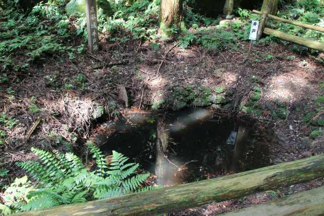 f:id:ksagi:20220102110915j:plain