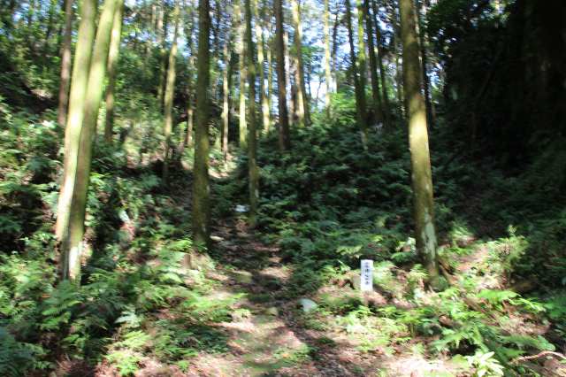 f:id:ksagi:20220102112349j:plain