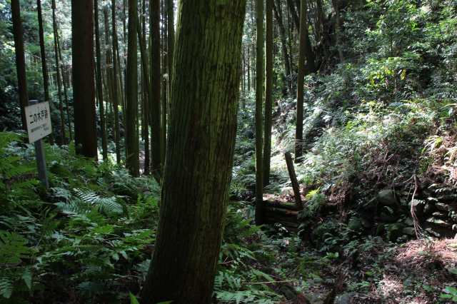 f:id:ksagi:20220102112413j:plain