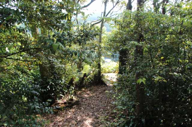 f:id:ksagi:20220102113018j:plain