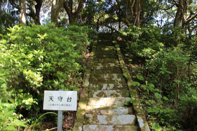 f:id:ksagi:20220102113114j:plain