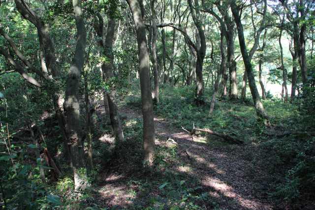 f:id:ksagi:20220102113251j:plain