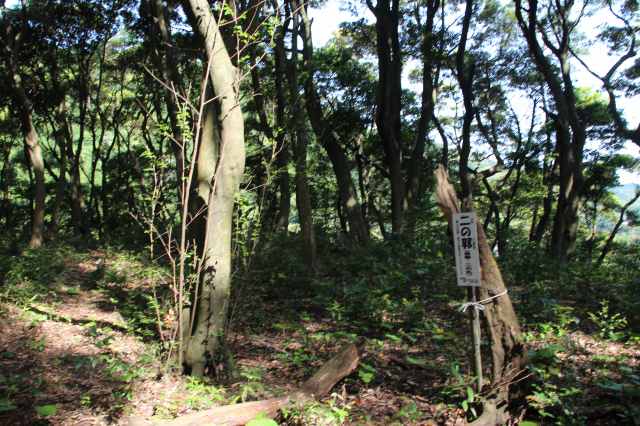 f:id:ksagi:20220102113309j:plain