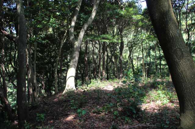 f:id:ksagi:20220102113325j:plain