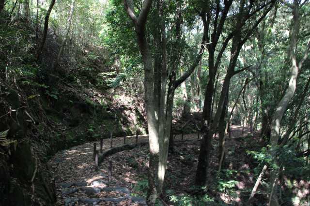 f:id:ksagi:20220102113417j:plain