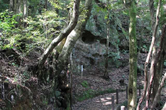 f:id:ksagi:20220102113434j:plain