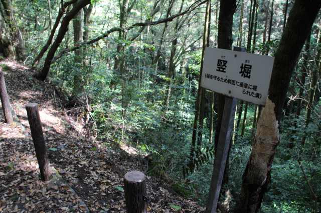 f:id:ksagi:20220102113457j:plain