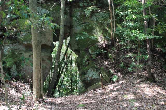 f:id:ksagi:20220102122337j:plain