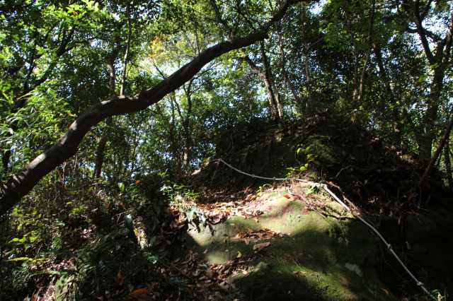 f:id:ksagi:20220102122359j:plain