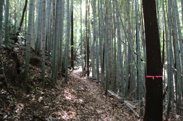 f:id:ksagi:20220102122927j:plain